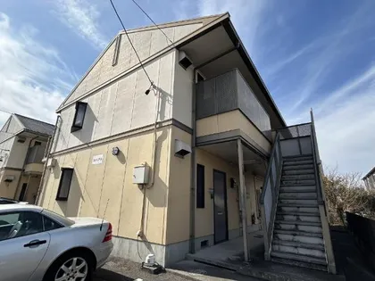 カメリアの画像