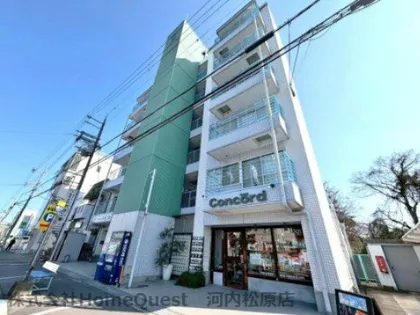 ツインツリーの画像