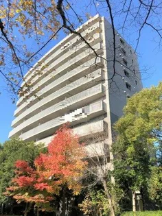 ザ・シーン城北ウエストスター【3階】の外観