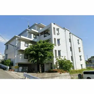 メゾンピアYUKYUの画像