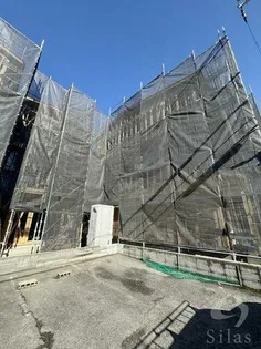 FELIZ MORADAの画像