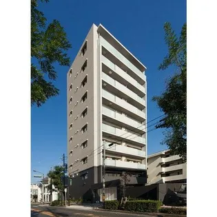 アルヴィ猫洞の画像