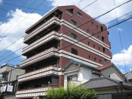 グロリアの画像