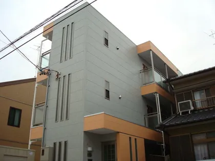 アムール青柳の画像