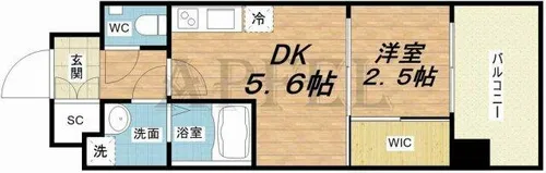 セレニテ福島プリエ【2階】の間取り