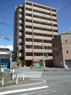 プロミネンスの画像