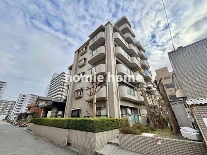 サンフィールド ショウエイの画像