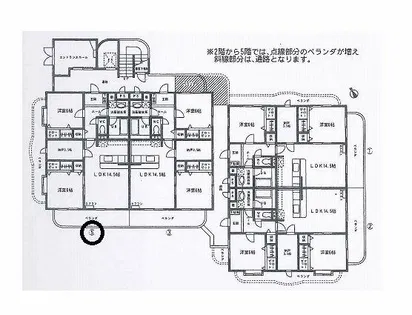 プランドール FIVE【1階】の間取り