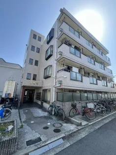 コスモの画像