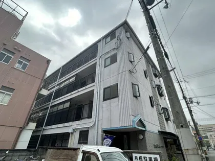 カサグランデモモの画像