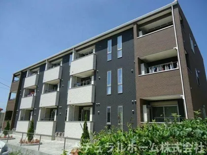 モデッサはるの画像