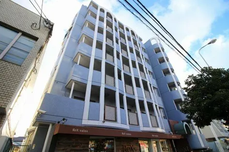 大阪府大阪市東淀川区豊新5丁目【マンション】の外観