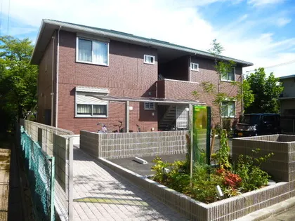 ゴラッソの画像