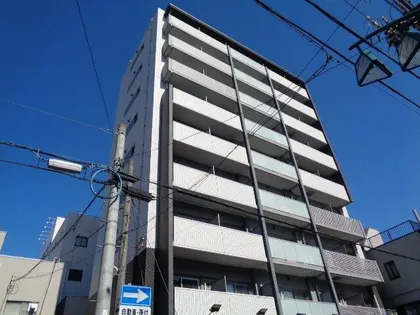 スカイホースの画像