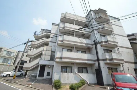 Kコート観月の画像