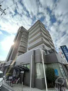 クレストサンシェルの画像