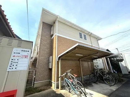 アムール福の画像