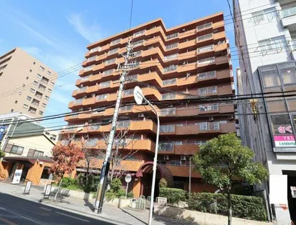 ダイアパレス八尾本町の画像