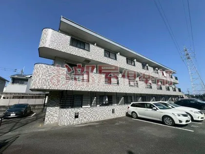 コンフォールIIIの画像