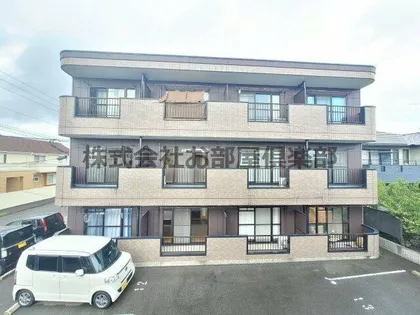 ビューカトレアの画像