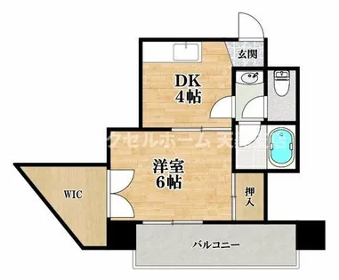 カサエルドラード壱番館【5階】の間取り