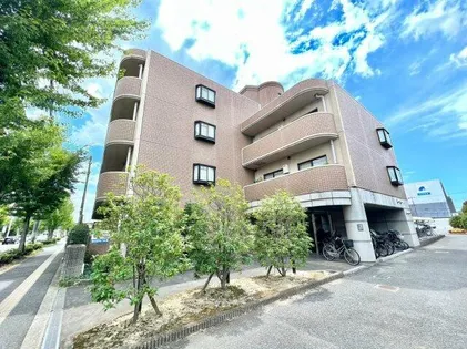 シャルマンシェソワの画像