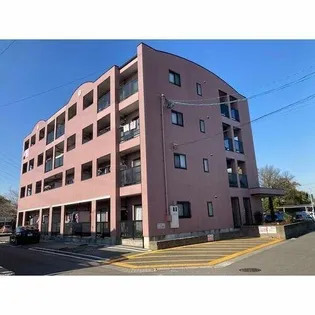 パルテール Yの画像