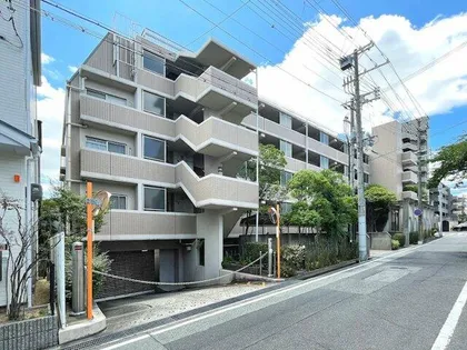 コンスタンス マヤの画像