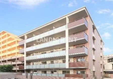 ソシアルーチェの画像