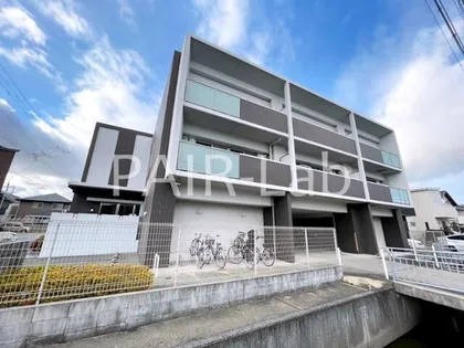 ソルジェ Kの画像