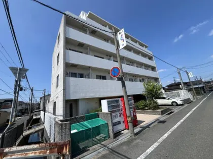 サカト1の画像