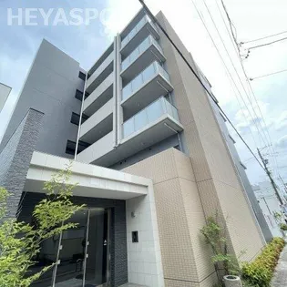 THE SEVENS'の画像