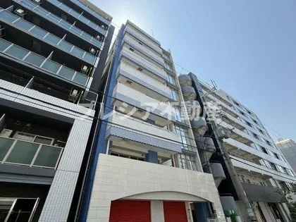 新和ルミエールの画像