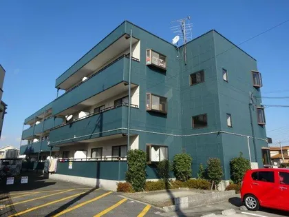 ソルジェンテ金剛の画像