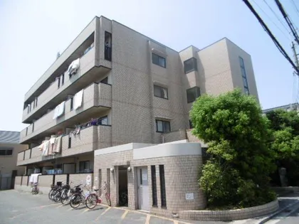 メゾンヌーボーの画像