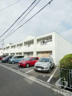 グリーンベルノモリの画像