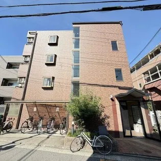 リトゥール中百舌鳥の画像