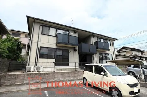 セジュール太賀の画像