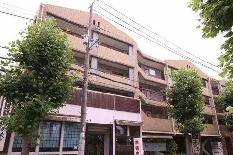 サイプレスの画像