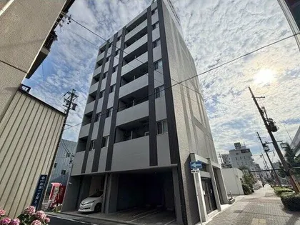 VERITAS SHIRAKANEの画像