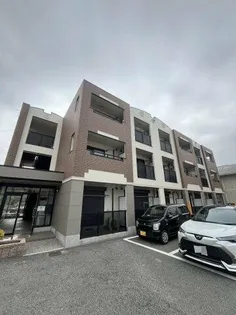 パラディーゾ百舌鳥の画像