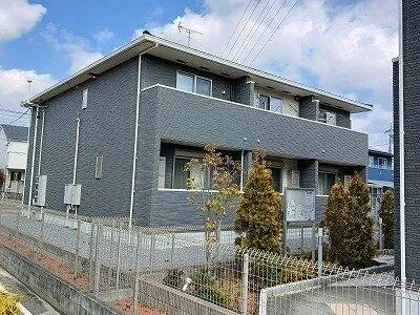 リーフサクラの画像