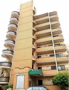 ルミエールの画像