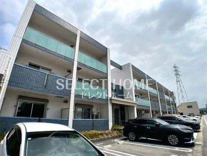 グランスイートアイの画像