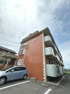 コモ ド ありえⅡの画像