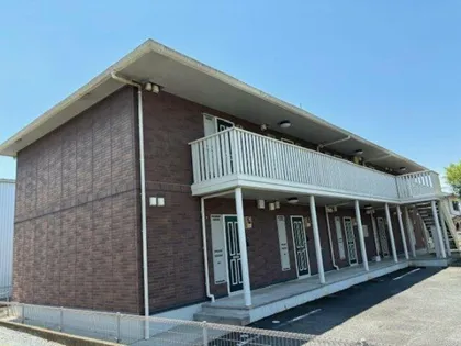 パテル ヴィオラの画像