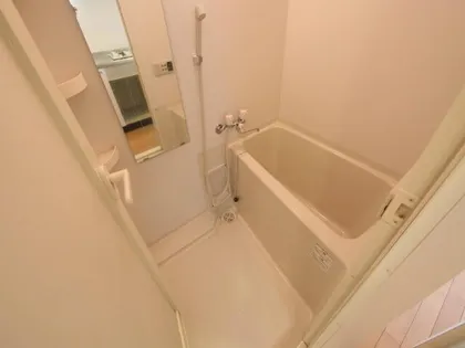 ベルファース川原通【5階】の風呂