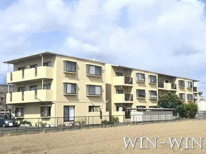 グレース1の画像