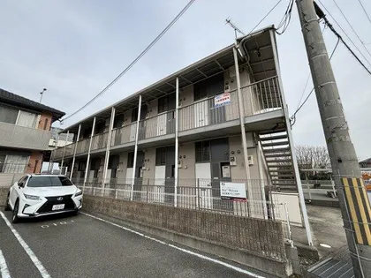 レグルスの画像