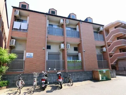 アンフィニの画像